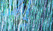 "Collage IV - Interferenzen" (1979)