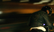 Iman Sayad Borhani in "Chevalier Noir" (2022)