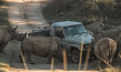 "Thabo - Das Nashorn-Abenteuer" (2023)