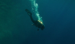 "The Dive" (2023)
