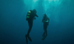 "The Dive" (2023)