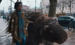 Amani-Jean Philippe in "Mein Totemtier und ich" (2022)