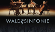 Filmplakat von "Wald:Sinfonie" (2022)