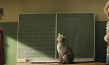 Christina Große, Milan Peschel (v.l.n.r.) in "Die Schule der magischen Tiere 3" (2024)