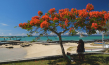 "Mauritius ‐ Die Fernwehmacher unterwegs im Tropenparadies" (2024)