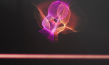 "Tracing Light - Die Magie des Lichts" (2024)
