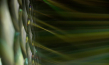 "Tracing Light - Die Magie des Lichts" (2024)