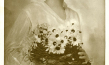 Mely Lagarst