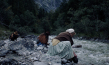 "Gold Rush" (2024)