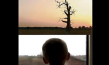 Filmplakat von "PL/3 - Die Polnische Trilogie": "Der Pole, der auch Deutscher war" (2008), "Ein kurzer Blick in den Garten Eden" (2011), "Zaduszki" (2013)