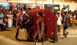 "Chandani und ihr Elefant" (2010)