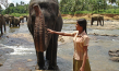"Chandani und ihr Elefant" (2010)