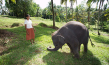 "Chandani und ihr Elefant" (2010)