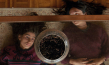 Mia Tharia, Pascale Kann (v.l.n.r.) in "September & July" (2024)
