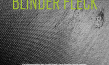 Filmplakat von "Blinder Fleck" (2025)