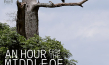 Filmplakat von "An Hour From The Middle Of Nowhere" (2024)