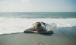 Sandra Guldberg Kampp in "Electric Child" (2024)