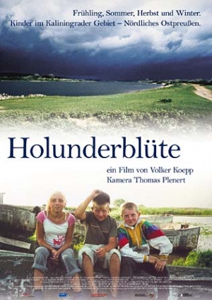 Filmplakat | Holunderblüte | filmportal.de