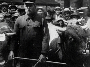 Screenshot aus "Ochsenfest / Tierschaufest in Wetzlar 2. und 3. Juli 1914" (1914)