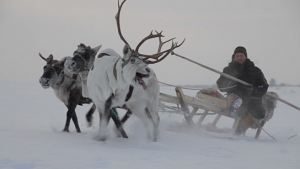Die Hüter der Tundra, © W-film, Lichtblick Film