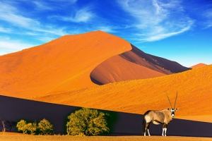 "Namibia", Quelle: imFilm Agentur + Verleih, DIF, © 2009 Michael Scharl