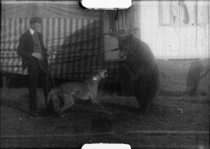 Screenshot aus "Hund und Bär im Zirkus" (190?); Quelle: DFF