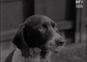 Screenshot aus "Blutwäsche bei einem Hund" (1915?)