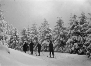 Screenshot aus "Filmtagebuch 1935" (1935); Quelle: SLUB Dresden, © SLUB Dresden, Filmverband Sachsen (Dresden), Hirsch Film (Dresden)