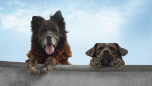 "Los Reyes - Königliche Streuner" (2019); Quelle: UCM.ONE, DFF