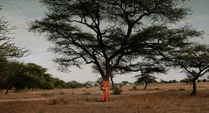 Ablaye Cissoko in "Der Waldmacher" (2021), Quelle: Weltkino Filmverleih, DFF, © Jean Diouf