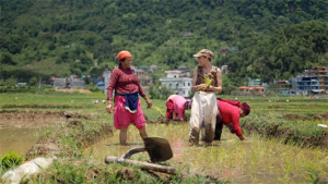 Anna Baranowski (vorne rechts) in "Namaste Himalaya - Wie ein Dorf in Nepal uns die Welt öffnete" (2021)
