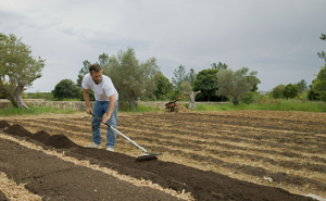 Felix Starck in "Step by Step" (2022)