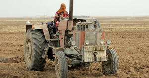 "Tevî her tiştî - Trotz alledem" (2025)