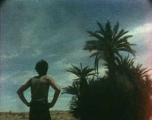 "Die Geburt der Nation" (1973)
