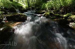 "Unsere Alb", Quelle und ©: www.unserealb.de