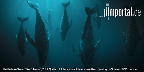 Quelle: 73. Internationale Filmfestspiele Berlin (Katalog), © Schwarm TV Production GmbH & Co. KG