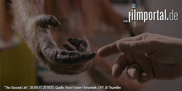 Quelle: Real Fiction Filmverleih, DFF, © Thurnfilm