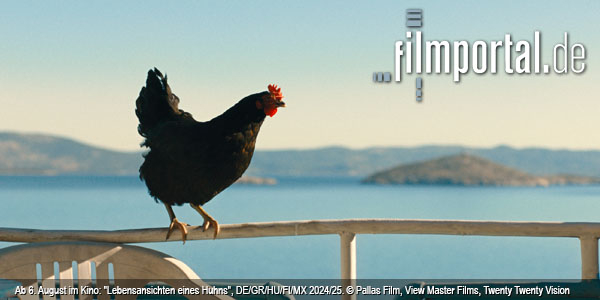 "Lebensansichten eines Huhns" (2025), Quelle: Neue Visionen Filmverleih, DFF "Lebensansichten eines Huhns" (2025), Quelle: Neue Visionen Filmverleih, DFF