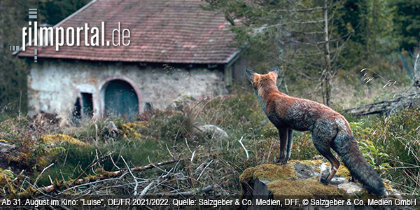"Luise" (2022); Quelle: Salzgeber & Co. Medien, DFF, © Salzgeber & Co. Medien GmbH