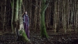 Schattenwald, Quelle: LeBog Film, DIF, © Vreni Arbes