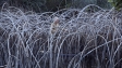 "Leaning into the Wind ", Quelle: Piffl Medien, DIF, © Piffl Medien