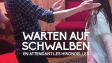 "Warten auf Schwalben", Quelle: missingFILMs, DIF