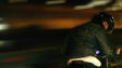 Iman Sayad Borhani in "Chevalier Noir" (2022)
