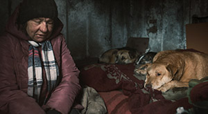 "Dreaming Dogs" (2024); Quelle: Real Fiction Filmverleih, DFF, © RAUMZEITFILM Produktion